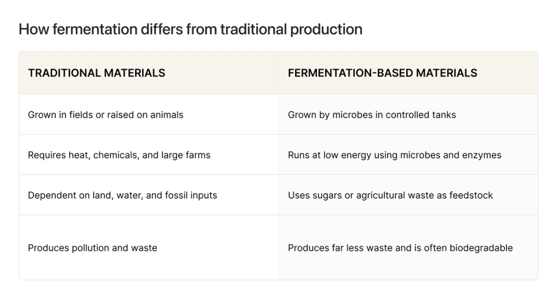 Visual graphic of how fermentation differs from traditional production