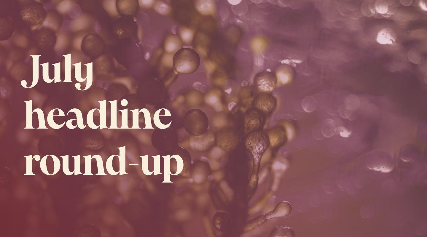 Featured image for “July news round-up: Nylon, nylon, BioPuff®”