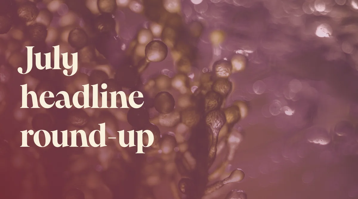 July headline round-up image