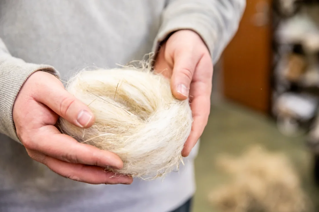 A person in a grey sweater holds a bundle of processed hemp fibers.