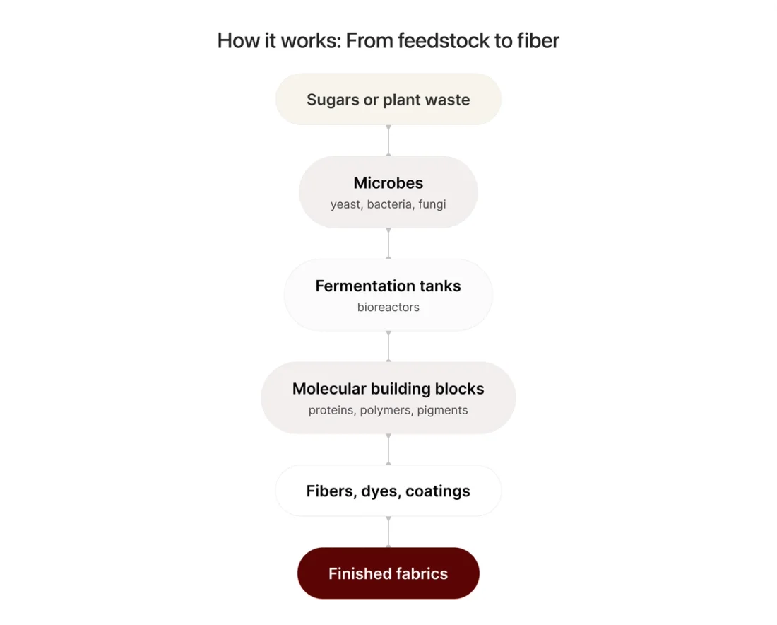 Process map graphic showing the process for for fermentation processes to create bio-fabrics